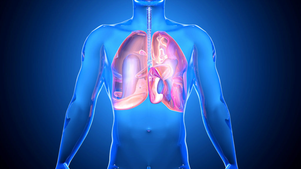 <span class="entry-title-primary">Global Lung Cancer Market Analysis | Industry Report, 2019-2024</span> <span class="entry-subtitle">Lung Cancer Market</span><span class="rating-result after_title mr-filter rating-result-12752">	<span class="mr-star-rating">			    <i class="fa fa-star mr-star-full"></i>	    	    <i class="fa fa-star mr-star-full"></i>	    	    <i class="fa fa-star mr-star-full"></i>	    	    <i class="fa fa-star mr-star-full"></i>	    	    <i class="fa fa-star mr-star-full"></i>	    </span><span class="star-result">	5/5</span>			<span class="count">				(1)			</span>			</span>