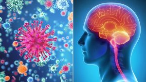 <span class="entry-title-primary">Global Meningitis Treatment Market Report Segmented by Application, Region, Key Players and Porters Five Forces Analysis</span> <span class="entry-subtitle">Meningitis Treatment Market  Market Research Growth 2019 </span>