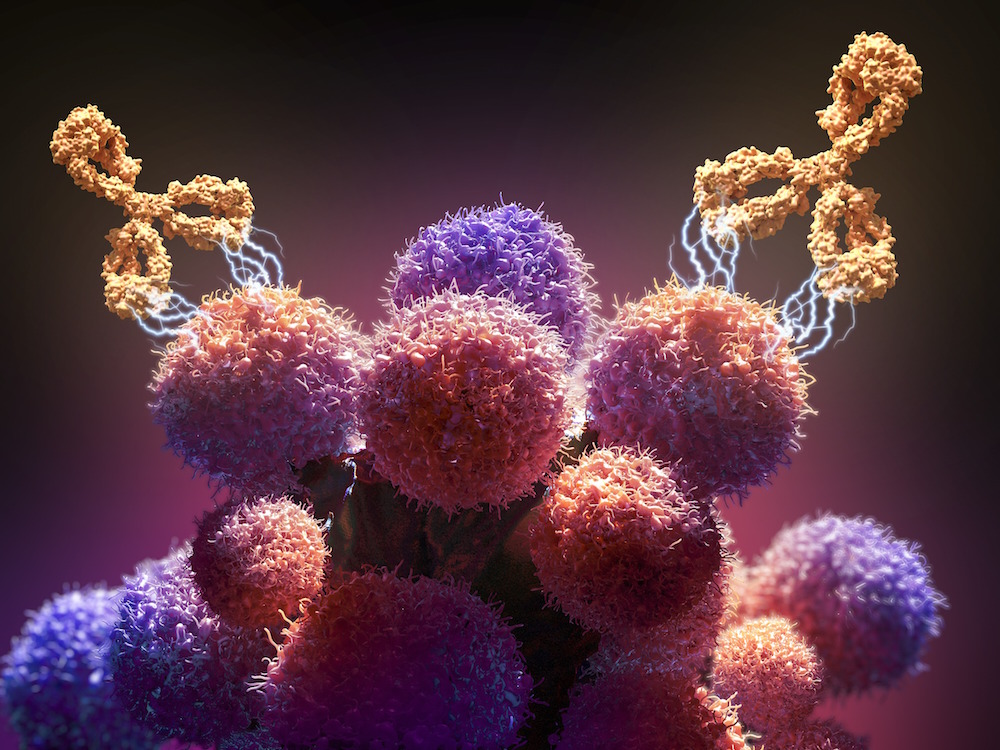 Global Monoclonal Antibody Therapy Market Industry Analysis and Forecast – 2025<span class="rating-result after_title mr-filter rating-result-12743">	<span class="mr-star-rating">			    <i class="fa fa-star mr-star-full"></i>	    	    <i class="fa fa-star mr-star-full"></i>	    	    <i class="fa fa-star mr-star-full"></i>	    	    <i class="fa fa-star mr-star-full"></i>	    	    <i class="fa fa-star mr-star-full"></i>	    </span><span class="star-result">	5/5</span>			<span class="count">				(1)			</span>			</span>