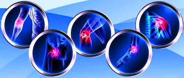 <span class="entry-title-primary">Orthopedic Biomaterial Market 2019 | Global Market Size, Share, Supply, Demand, Segments and Forecast 2024</span> <span class="entry-subtitle">Orthopedic Biomaterial Industry Report Analysis</span><span class="rating-result after_title mr-filter rating-result-12323">	<span class="mr-star-rating">			    <i class="fa fa-star mr-star-full"></i>	    	    <i class="fa fa-star mr-star-full"></i>	    	    <i class="fa fa-star mr-star-full"></i>	    	    <i class="fa fa-star mr-star-full"></i>	    	    <i class="fa fa-star mr-star-full"></i>	    </span><span class="star-result">	5/5</span>			<span class="count">				(1)			</span>			</span>