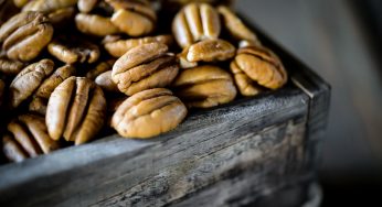 Pecan Nuts Market Size and Share, 2019-2024