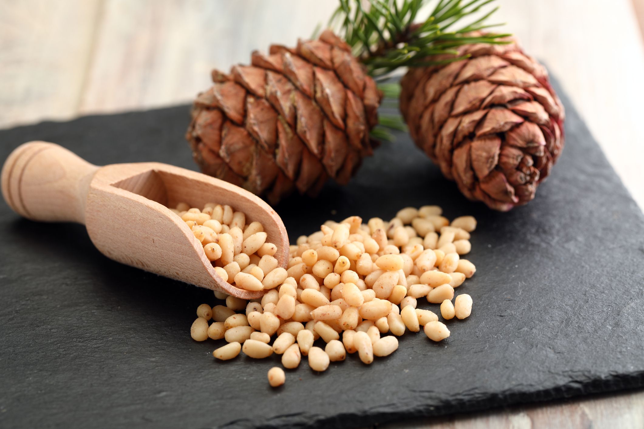 <span class="entry-title-primary">Pine Nuts Market Size, Trends, Uses, Benefits and Forecast Report by 2024</span> <span class="entry-subtitle">Pine Nuts Market, 2019-2024</span><span class="rating-result after_title mr-filter rating-result-11395">			<span class="no-rating-results-text">No ratings yet.</span>		</span>