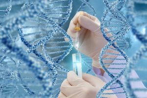 <span class="entry-title-primary">Global Preimplantation Genetic Diagnosis Market 2025 Forecast Size, Share and Manufacturing Cost Analysis</span> <span class="entry-subtitle">Preimplantation Genetic Diagnosis Market analysis</span>