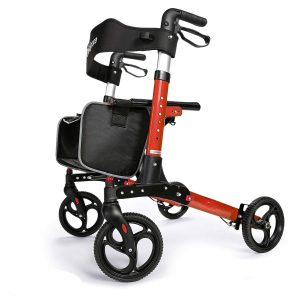 <span class="entry-title-primary">Rollator Walker Market Worth 110 Million USD by 2024 | CAGR: 5.9%</span> <span class="entry-subtitle">Rollator Walker Market Report, 2019-2024</span>