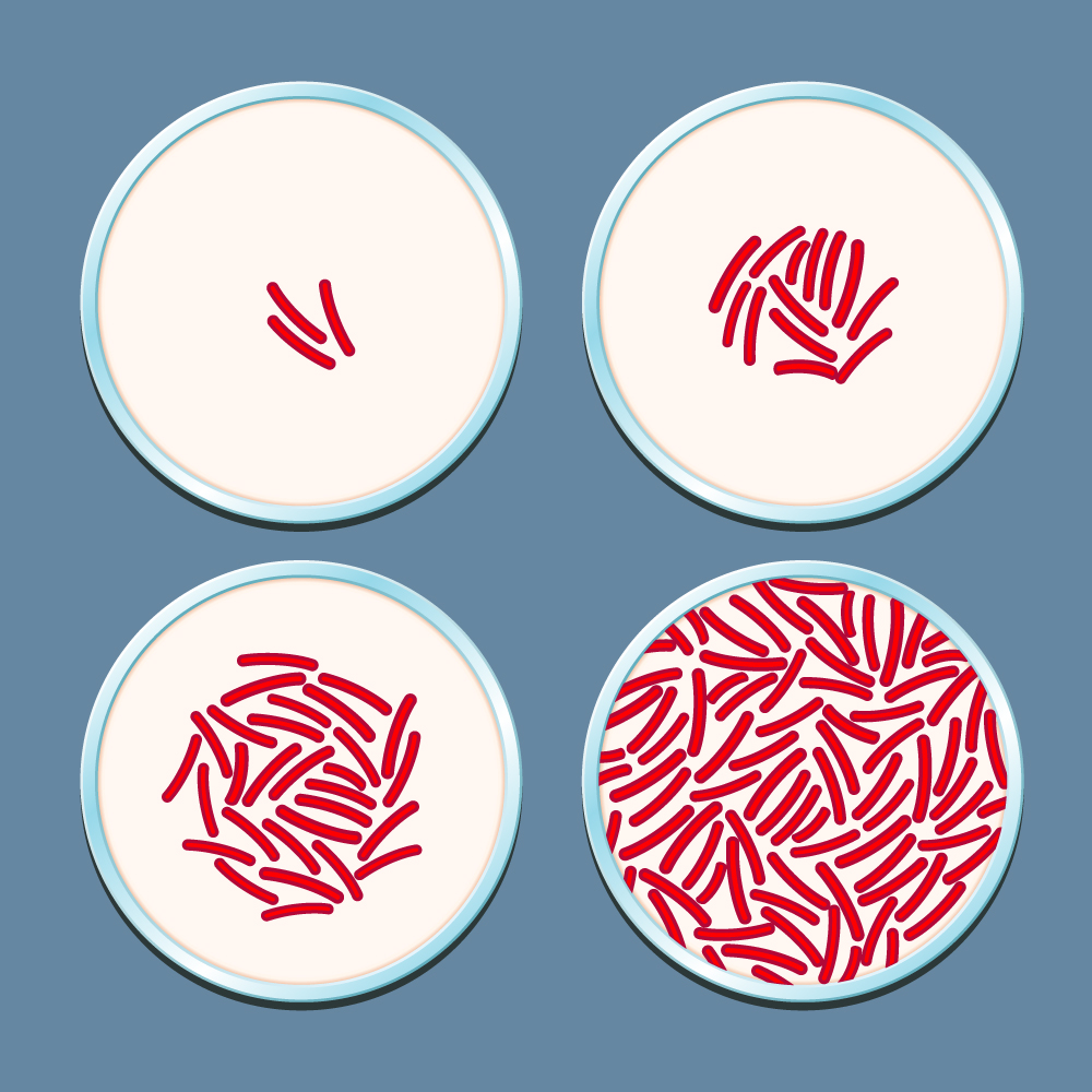 <span class="entry-title-primary">Antibiotic Resistance Market by Manufacturers, Regions, Type and Application Forecast to 2024</span> <span class="entry-subtitle">Global Antibiotic Resistance Market</span><span class="rating-result after_title mr-filter rating-result-14829">	<span class="mr-star-rating">			    <i class="fa fa-star mr-star-full"></i>	    	    <i class="fa fa-star mr-star-full"></i>	    	    <i class="fa fa-star mr-star-full"></i>	    	    <i class="fa fa-star mr-star-full"></i>	    	    <i class="fa fa-star mr-star-full"></i>	    </span><span class="star-result">	5/5</span>			<span class="count">				(1)			</span>			</span>