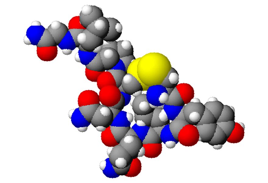 <span class="entry-title-primary">Antidiuretic Hormone ADH Market Global Industry Size, Demand, Growth Analysis, and Forecast 2024</span> <span class="entry-subtitle">Global Antidiuretic Hormone ADH Market</span><span class="rating-result after_title mr-filter rating-result-14937">	<span class="mr-star-rating">			    <i class="fa fa-star mr-star-full"></i>	    	    <i class="fa fa-star mr-star-full"></i>	    	    <i class="fa fa-star mr-star-full"></i>	    	    <i class="fa fa-star mr-star-full"></i>	    	    <i class="fa fa-star mr-star-full"></i>	    </span><span class="star-result">	5/5</span>			<span class="count">				(1)			</span>			</span>