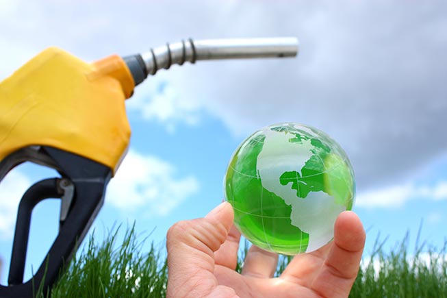 <span class="entry-title-primary">Biodiesel Market – Industry Analysis, Size, Share, Trends, Segment and Forecast-2024</span> <span class="entry-subtitle">Global Biodiesel Market Analysis and Forecast 2019-2024</span><span class="rating-result after_title mr-filter rating-result-13266">	<span class="mr-star-rating">			    <i class="fa fa-star mr-star-full"></i>	    	    <i class="fa fa-star mr-star-full"></i>	    	    <i class="fa fa-star mr-star-full"></i>	    	    <i class="fa fa-star mr-star-full"></i>	    	    <i class="fa fa-star mr-star-full"></i>	    </span><span class="star-result">	5/5</span>			<span class="count">				(1)			</span>			</span>