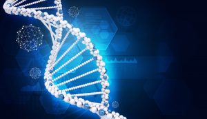 <span class="entry-title-primary">DNA Sequencing Market Analysis, Market Size, Application Analysis, Regional Outlook, Competitive Strategies, And Segment Forecasts, 2018 To 2023</span> <span class="entry-subtitle">DNA Sequencing Market Scope and Market Expected 2018-2023</span>