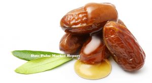 <span class="entry-title-primary">Date Palm Market to Grow at a CAGR of 4.2% in terms of revenue till 2024 Globally</span> <span class="entry-subtitle">Global Date Palm Market, 2019-2024</span>