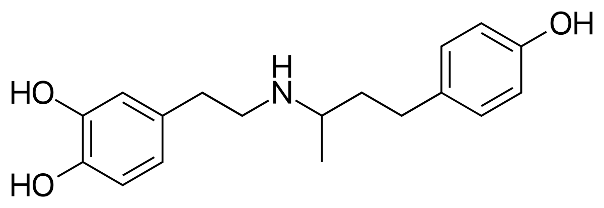 <span class="entry-title-primary">Global Dobutamine Market Research Report 2019-2024 | Latest Trend, Growth and Forecast</span> <span class="entry-subtitle">Global Dobutamine Market</span><span class="rating-result after_title mr-filter rating-result-14950">	<span class="mr-star-rating">			    <i class="fa fa-star mr-star-full"></i>	    	    <i class="fa fa-star mr-star-full"></i>	    	    <i class="fa fa-star mr-star-full"></i>	    	    <i class="fa fa-star mr-star-full"></i>	    	    <i class="fa fa-star mr-star-full"></i>	    </span><span class="star-result">	5/5</span>			<span class="count">				(1)			</span>			</span>