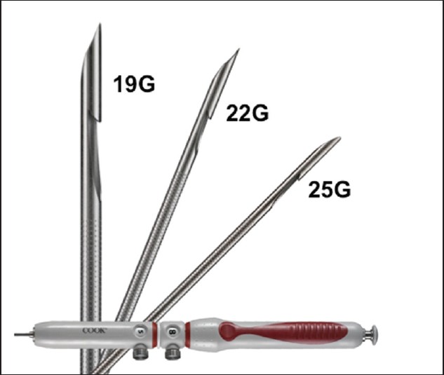 <span class="entry-title-primary">EUS-Guided Fine Needle Aspiration Market Analysis By Key Manufacturers, Regions, Type And Application And Growth Forecast To 2024</span> <span class="entry-subtitle">EUS-Guided Fine Needle Aspiration Industry Demands and Forecast Report</span><span class="rating-result after_title mr-filter rating-result-13891">	<span class="mr-star-rating">			    <i class="fa fa-star mr-star-full"></i>	    	    <i class="fa fa-star mr-star-full"></i>	    	    <i class="fa fa-star mr-star-full"></i>	    	    <i class="fa fa-star mr-star-full"></i>	    	    <i class="fa fa-star mr-star-full"></i>	    </span><span class="star-result">	5/5</span>			<span class="count">				(1)			</span>			</span>