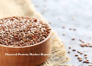 <span class="entry-title-primary">Flaxseed Protein Market | Flax Protein Market | Industry Outlook and Growth | 2019-2024</span> <span class="entry-subtitle">Flax Seed Protein Market Report</span>