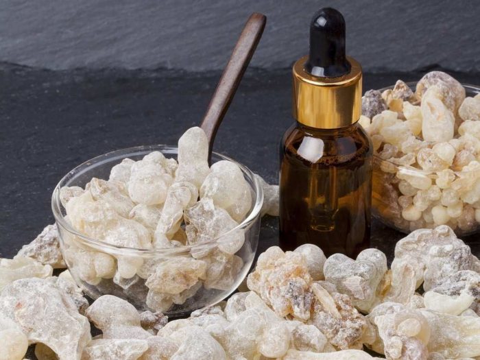 <span class="entry-title-primary">Global Frankincense Oil Market Research Report 2019-2025 | Latest Trend, Growth and Forecast</span> <span class="entry-subtitle">Frankincense Oil Market Research Report Demand, Share Analysis To 2019</span><span class="rating-result after_title mr-filter rating-result-15592">	<span class="mr-star-rating">			    <i class="fa fa-star mr-star-full"></i>	    	    <i class="fa fa-star mr-star-full"></i>	    	    <i class="fa fa-star mr-star-full"></i>	    	    <i class="fa fa-star mr-star-full"></i>	    	    <i class="fa fa-star mr-star-full"></i>	    </span><span class="star-result">	5/5</span>			<span class="count">				(1)			</span>			</span>