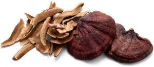 <span class="entry-title-primary">Ganoderma Lucidum Power Market 2019 by Manufacturers, Countries, Type and Application, Forecast to 2024</span> <span class="entry-subtitle">Global Ganoderma Lucidum Power Market</span>