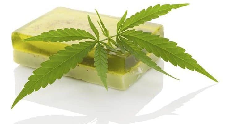 <span class="entry-title-primary">Hemp Products Market Analysis, Key Manufacturers, Sales, Demand and Forecasts 2024</span> <span class="entry-subtitle">Hemp Products Market Analysis</span><span class="rating-result after_title mr-filter rating-result-15599">	<span class="mr-star-rating">			    <i class="fa fa-star mr-star-full"></i>	    	    <i class="fa fa-star mr-star-full"></i>	    	    <i class="fa fa-star mr-star-full"></i>	    	    <i class="fa fa-star mr-star-full"></i>	    	    <i class="fa fa-star mr-star-full"></i>	    </span><span class="star-result">	5/5</span>			<span class="count">				(1)			</span>			</span>