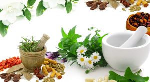 <span class="entry-title-primary">Herbal Medicinal Products  Market Global Industry Analysis and Forecast Till 2025</span> <span class="entry-subtitle">Global Herbal Medicinal Products Market</span>