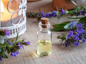 <span class="entry-title-primary">Hyssop Oil Market 2024 Forecast Size, Share and Manufacturing Cost Analysis</span> <span class="entry-subtitle">Hyssop Oil Market Analysis</span>