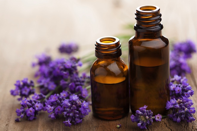 <span class="entry-title-primary">Lavender Essential Oil Extract Market 2019 | Manufacturers, Regions, Type and Application, Forecast to 2024</span> <span class="entry-subtitle">Global Lavender Essential Oil Extract Market And Industry Forecast To 2024</span><span class="rating-result after_title mr-filter rating-result-15609">	<span class="mr-star-rating">			    <i class="fa fa-star mr-star-full"></i>	    	    <i class="fa fa-star mr-star-full"></i>	    	    <i class="fa fa-star mr-star-full"></i>	    	    <i class="fa fa-star mr-star-full"></i>	    	    <i class="fa fa-star mr-star-full"></i>	    </span><span class="star-result">	5/5</span>			<span class="count">				(1)			</span>			</span>