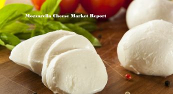 Mozzarella Cheese Market Worth 24300 Million USD By 2024 | CAGR 4.2%