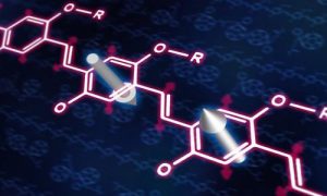 Worldwide Organic Spintronics Market: key Vendors, Trends, Analysis