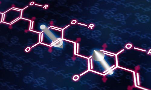 Worldwide Organic Spintronics Market: key Vendors, Trends, Analysis<span class="rating-result after_title mr-filter rating-result-13556">			<span class="no-rating-results-text">No ratings yet.</span>		</span>