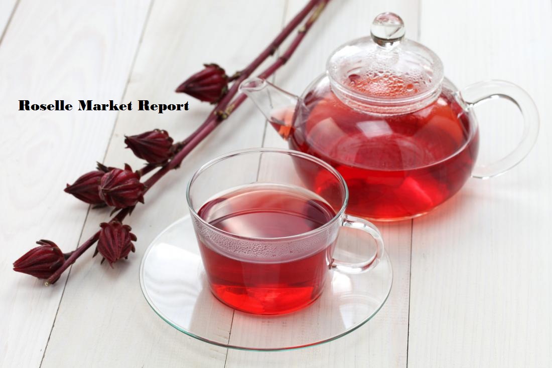 <span class="entry-title-primary">Roselle Market Analysis, Trends, Size, Benefits, Consumption and Forecast by 2022</span> <span class="entry-subtitle">Roselle Market Report</span><span class="rating-result after_title mr-filter rating-result-12242">			<span class="no-rating-results-text">No ratings yet.</span>		</span>