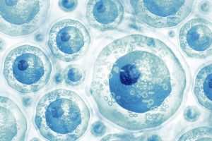 <span class="entry-title-primary">Market for Stem Cells is Expected to Register a Robust CAGR of 13.69% During the Period from 2019 to 2025</span> <span class="entry-subtitle">Stem Cells Industry Demands and Forecast Report</span>