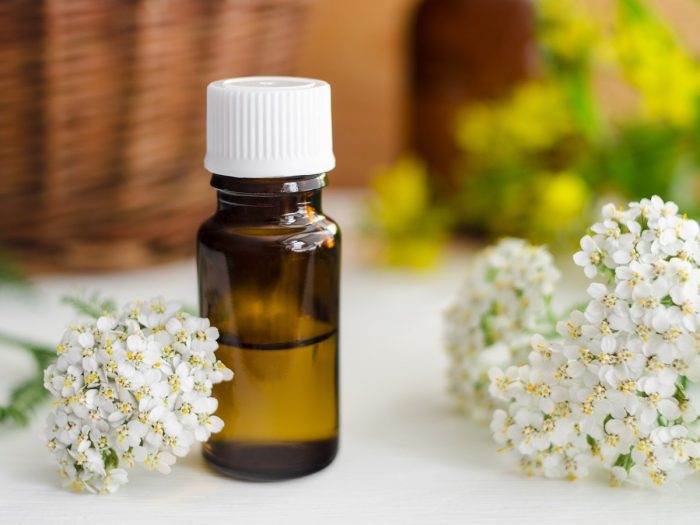 <span class="entry-title-primary">Global Yarrow Oil Market | Manufacturers, Regions, Type and Application, Forecast to 2024</span> <span class="entry-subtitle">Yarrow Oil Market Report 2024: (Industry Insights, Company Overview and Investment Analysis)</span><span class="rating-result after_title mr-filter rating-result-13088">	<span class="mr-star-rating">			    <i class="fa fa-star mr-star-full"></i>	    	    <i class="fa fa-star mr-star-full"></i>	    	    <i class="fa fa-star mr-star-full"></i>	    	    <i class="fa fa-star mr-star-full"></i>	    	    <i class="fa fa-star mr-star-full"></i>	    </span><span class="star-result">	5/5</span>			<span class="count">				(1)			</span>			</span>