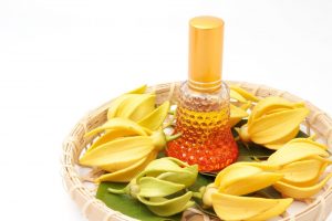 <span class="entry-title-primary">Global Ylang Oil Market Major Manufacturers, Trends, Demand, Share Analysis To 2024</span> <span class="entry-subtitle">Global Ylang Oil Market </span>