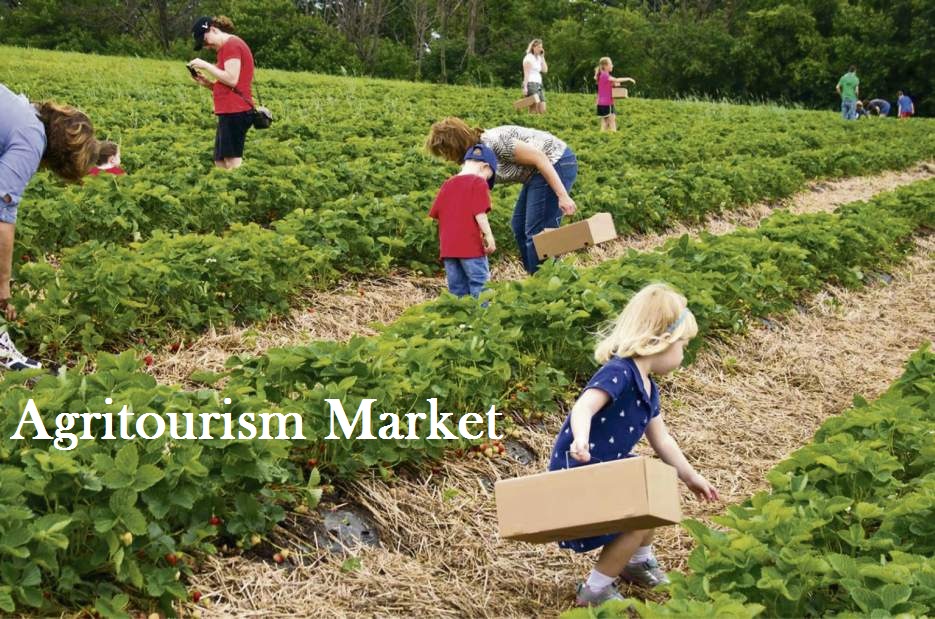 Agritourism Market | Size | Industry Analysis | Share | Growth | Forecast 2019-2024<span class="rating-result after_title mr-filter rating-result-16951">			<span class="no-rating-results-text">No ratings yet.</span>		</span>