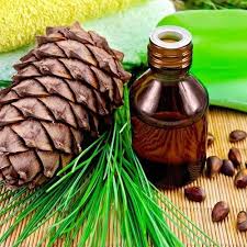 <span class="entry-title-primary">Atlas Cedar Oil Market 2019: Global Industry Size, Segments, Share and Growth Factor Analysis Research Report 2024</span> <span class="entry-subtitle">Atlas Cedar Oil Market Research Overview:</span><span class="rating-result after_title mr-filter rating-result-16358">	<span class="mr-star-rating">			    <i class="fa fa-star mr-star-full"></i>	    	    <i class="fa fa-star mr-star-full"></i>	    	    <i class="fa fa-star mr-star-full"></i>	    	    <i class="fa fa-star mr-star-full"></i>	    	    <i class="fa fa-star mr-star-full"></i>	    </span><span class="star-result">	5/5</span>			<span class="count">				(1)			</span>			</span>