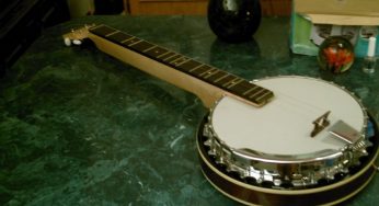 Banjo Dulcimer Market Growth Factors, Applications, Regional Analysis, Key Players and Forecasts by 2025