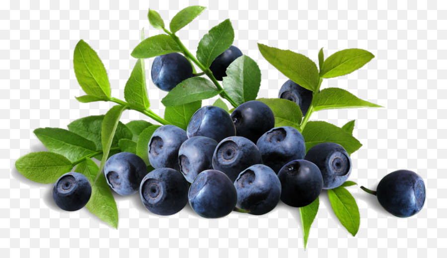 <span class="entry-title-primary">Bilberry Extract Market Report – Industry Size, Share, Trends, Growth And Forecast Till 2024</span> <span class="entry-subtitle">Global Bilberry Extract Market</span><span class="rating-result after_title mr-filter rating-result-16335">	<span class="mr-star-rating">			    <i class="fa fa-star mr-star-full"></i>	    	    <i class="fa fa-star mr-star-full"></i>	    	    <i class="fa fa-star mr-star-full"></i>	    	    <i class="fa fa-star mr-star-full"></i>	    	    <i class="fa fa-star mr-star-full"></i>	    </span><span class="star-result">	5/5</span>			<span class="count">				(2)			</span>			</span>