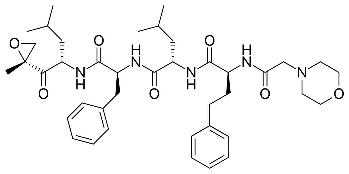 Global Carfilzomib market forecast to 2024 just published<span class="rating-result after_title mr-filter rating-result-18784">			<span class="no-rating-results-text">No ratings yet.</span>		</span>