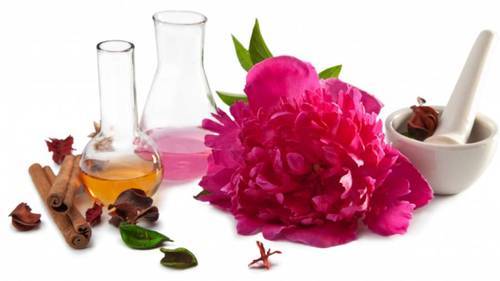 <span class="entry-title-primary">Carnation Oil Market | Industry Trends, Regulations And Competitive Landscape Outlook To 2024</span> <span class="entry-subtitle">Global Carnation Oil Market</span><span class="rating-result after_title mr-filter rating-result-16353">	<span class="mr-star-rating">			    <i class="fa fa-star mr-star-full"></i>	    	    <i class="fa fa-star mr-star-full"></i>	    	    <i class="fa fa-star mr-star-full"></i>	    	    <i class="fa fa-star mr-star-full"></i>	    	    <i class="fa fa-star mr-star-full"></i>	    </span><span class="star-result">	5/5</span>			<span class="count">				(1)			</span>			</span>