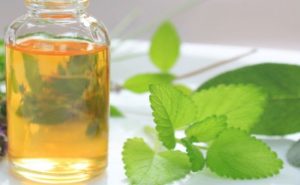 <span class="entry-title-primary">Catnip Oil Market 2024 Consumption, Overview and Forecast by Trend, Vendors, Types and Application</span> <span class="entry-subtitle">Global Catnip Oil Market</span>