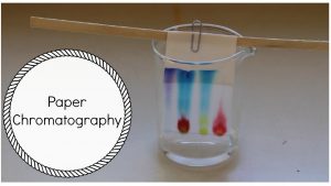 Chromatography Paper Market 2019 Industry Trends, Share, Top Players 2024