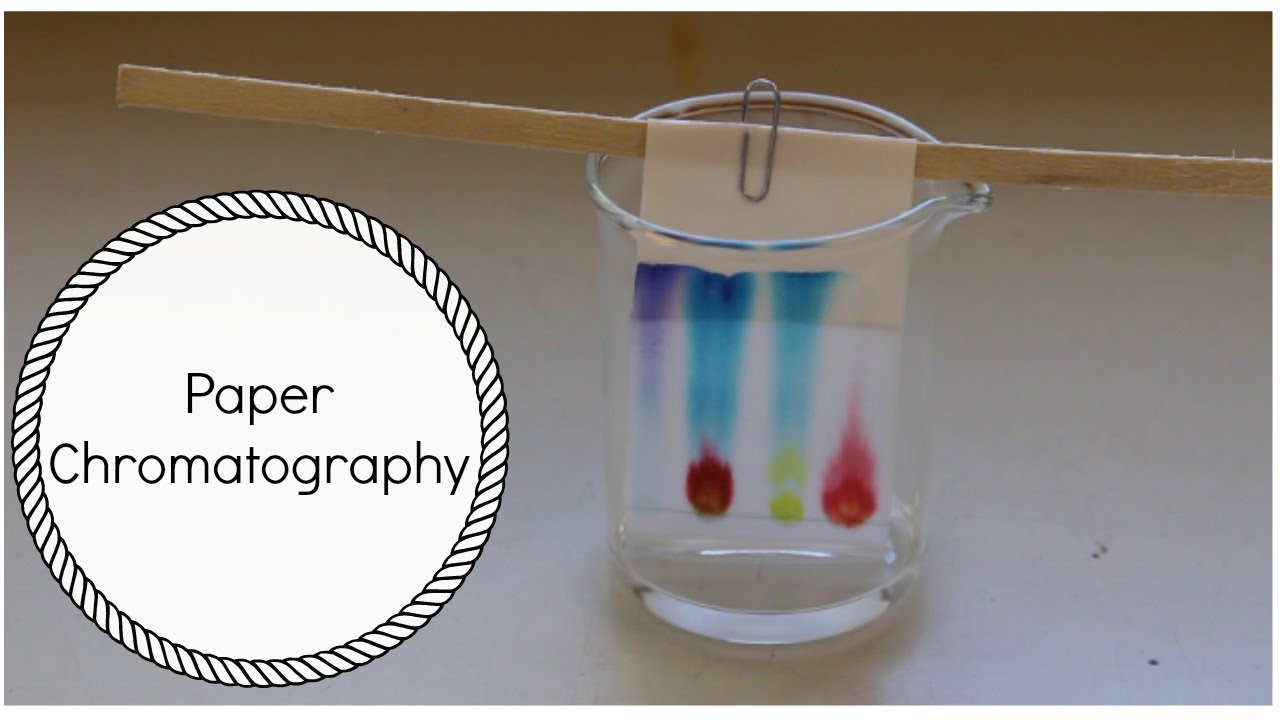 Chromatography Paper Market 2019 Industry Trends, Share, Top Players 2024<span class="rating-result after_title mr-filter rating-result-16659">			<span class="no-rating-results-text">No ratings yet.</span>		</span>