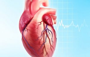 Learn details of the Coronary Artery Bypass Grafts CABG market size, status and forecast 2024