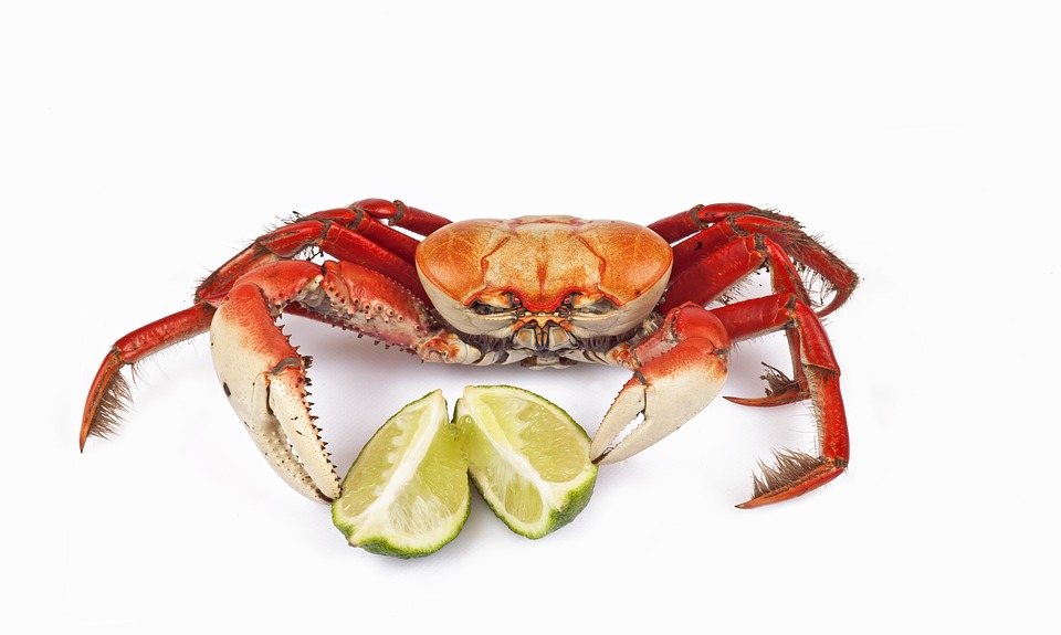 <span class="entry-title-primary">Crab Market By Types, Demand, Uses, Consumption and Forecast till 2024</span> <span class="entry-subtitle">Global Crab Market Report, 2019-2024</span><span class="rating-result after_title mr-filter rating-result-12931">	<span class="mr-star-rating">			    <i class="fa fa-star mr-star-full"></i>	    	    <i class="fa fa-star mr-star-full"></i>	    	    <i class="fa fa-star mr-star-full"></i>	    	    <i class="fa fa-star mr-star-full"></i>	    	    <i class="fa fa-star mr-star-full"></i>	    </span><span class="star-result">	5/5</span>			<span class="count">				(1)			</span>			</span>