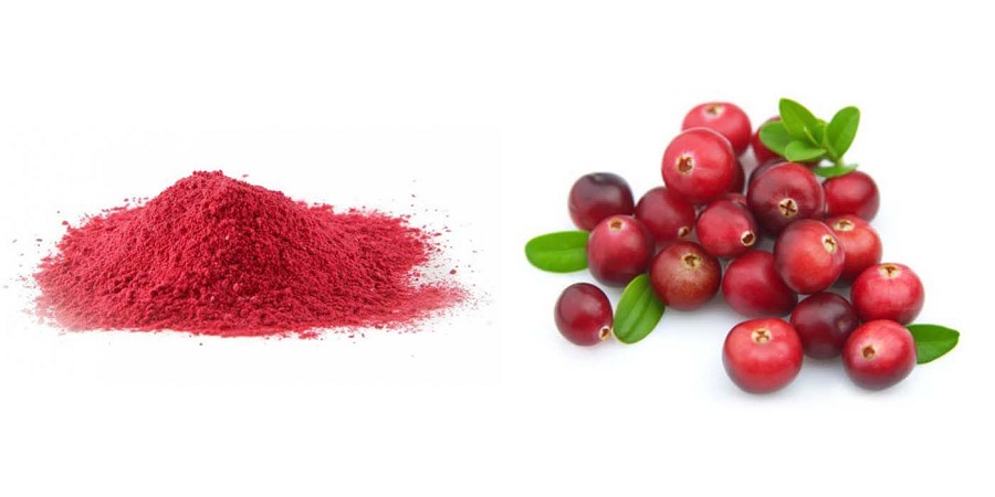 <span class="entry-title-primary">Cranberry Extract Market Size To Attain A Value Of $110.9 Million By 2024 Worldwide</span> <span class="entry-subtitle">Global Cranberry Extracts Market</span><span class="rating-result after_title mr-filter rating-result-19391">			<span class="no-rating-results-text">No ratings yet.</span>		</span>