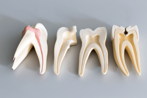 <span class="entry-title-primary">Dental Biomaterials Market Share, Size, Trends, Demand, Key Players and Forecast to 2024</span> <span class="entry-subtitle">Dental Biomaterials Market Research Reports:</span>