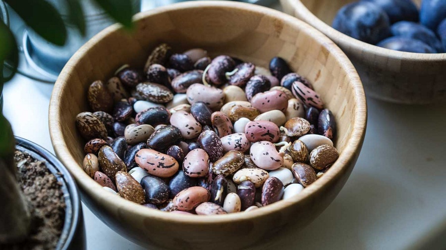 <span class="entry-title-primary">Edible Beans Market By Types, Benefits, Demand, Uses, Consumption and Forecast till 2024</span> <span class="entry-subtitle">Global Edible Beans Market Report</span><span class="rating-result after_title mr-filter rating-result-18543">			<span class="no-rating-results-text">No ratings yet.</span>		</span>