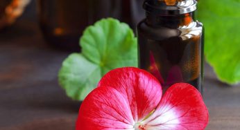 Research Delivers Insight Into the Global Geranium Oil Market
