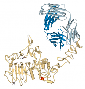 Global HER-2 Targeted Drugs for Breast Cancer Market Growth (Status and Outlook) 2019-2024