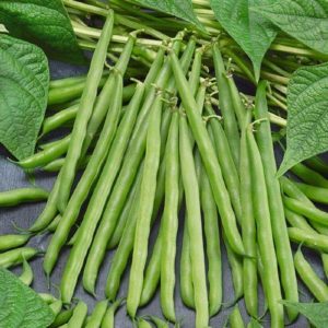 <span class="entry-title-primary">Hybrid Vegetable Seeds Market Size, Analysis, Benefits, Demands and Forecast Report by 2024</span> <span class="entry-subtitle">Global hybrid seeds market is estimated to be valued at $33.83 Billion in 2016 and projected to reach $57.23 Billion by 2024.</span>