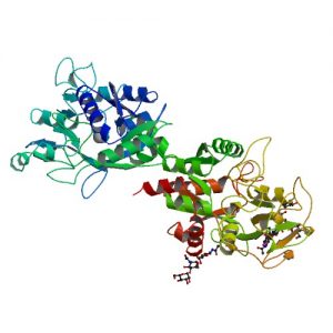 <span class="entry-title-primary">Learn Details of the Lactoferrin Market Forecast to 2014-2024</span> <span class="entry-subtitle">The report provides a basic overview of the industry including its definition, applications and manufacturing technology. </span>