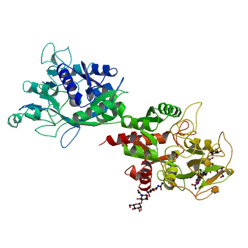 <span class="entry-title-primary">Learn Details of the Lactoferrin Market Forecast to 2014-2024</span> <span class="entry-subtitle">The report provides a basic overview of the industry including its definition, applications and manufacturing technology. </span><span class="rating-result after_title mr-filter rating-result-20916">			<span class="no-rating-results-text">No ratings yet.</span>		</span>