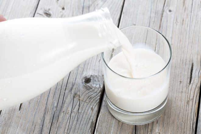 Discover the Milk Packaging Market Forecast to 2020-2025<span class="rating-result after_title mr-filter rating-result-18717">			<span class="no-rating-results-text">No ratings yet.</span>		</span>