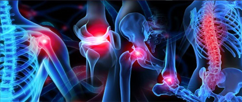 <span class="entry-title-primary">Musculoskeletal Pain Market 2019 Global Industry Analysis, by Size, Share, Growth, Trends, Top Companies Profiles, and Forecast Until 2028</span> <span class="entry-subtitle">Global Musculoskeletal Pain Market</span><span class="rating-result after_title mr-filter rating-result-20685">	<span class="mr-star-rating">			    <i class="fa fa-star mr-star-full"></i>	    	    <i class="fa fa-star mr-star-full"></i>	    	    <i class="fa fa-star mr-star-full"></i>	    	    <i class="fa fa-star mr-star-full"></i>	    	    <i class="fa fa-star mr-star-full"></i>	    </span><span class="star-result">	5/5</span>			<span class="count">				(1)			</span>			</span>